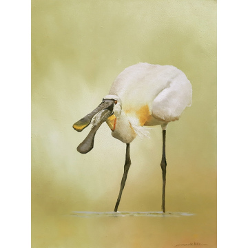 Lepelaar met vis, olie op paneel, 36x27