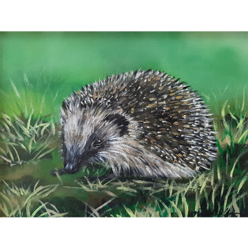 Egeltje, olie op doek, 18x24