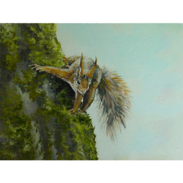Eekhoorntje, olie op paneel, 18x24