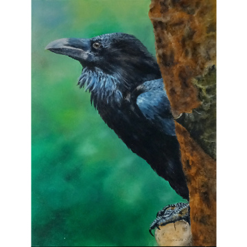 Raaf, olie op paneel, 36x27