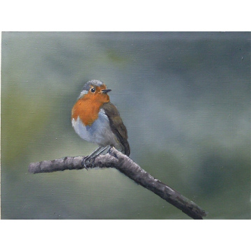 Roodborstje, olie op paneel, 18x24