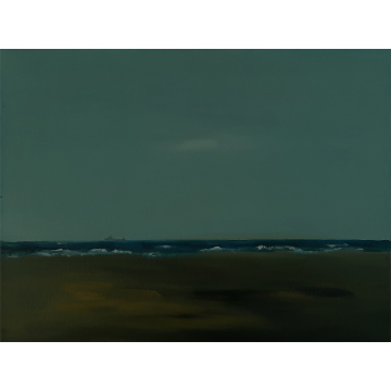 Kustvaarder, olie op doek, 30x40