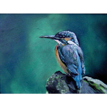 IJsvogel, olie op doek, 24x18