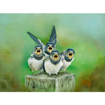 Nest jonge zwaluwen, olie op paneel, 27x36