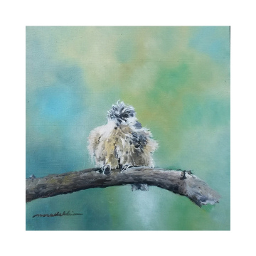 Boomkleverkuiken, olie op paneel, 20x20