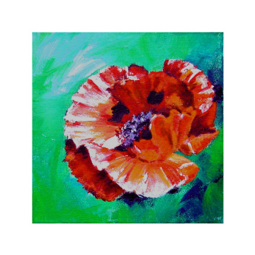 Klaproos, acryl op doek, 30x30